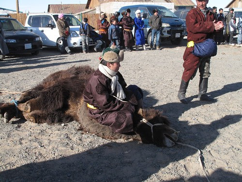 camel seat