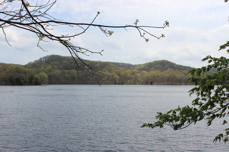 radnor lake nashville