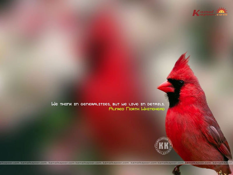 desktop wallpaper quotations. desktop wallpaper with quotes