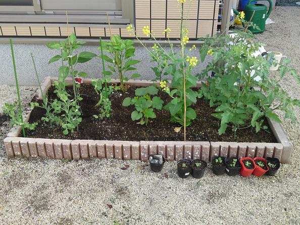 ガーデニングを始めたい 花壇 家庭菜園の作り方を教えて