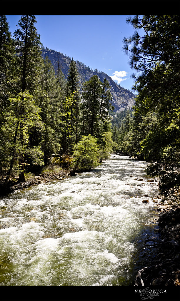 Day 1 -- Yosemite