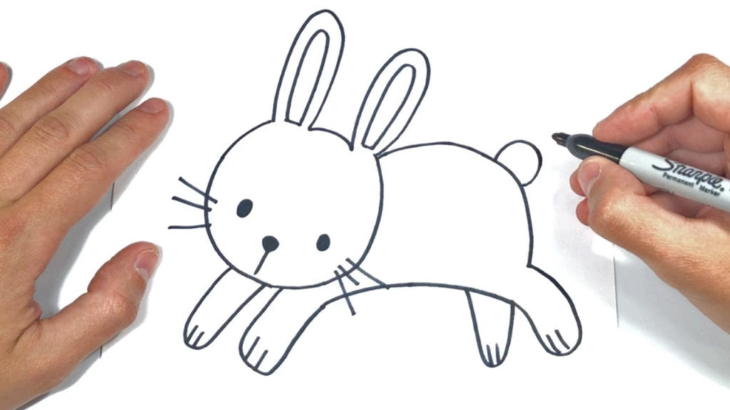 Como dibujar un Conejito Rincon Util Como dibujar un Conejito Rincon Util