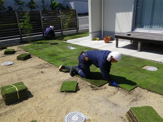 芝張りをしました