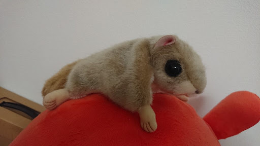イメージ