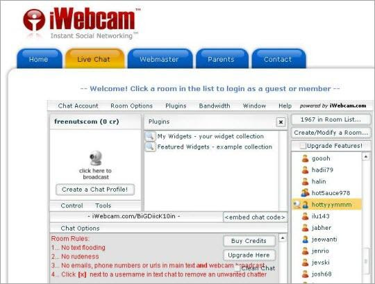 Free Online Video Chat Rooms