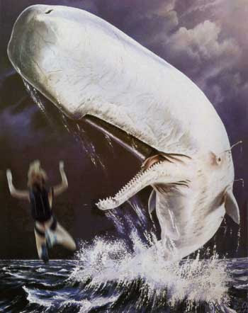マッコウクジラ