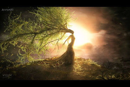 The Power Of Manifesting