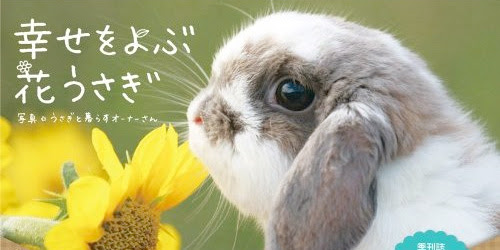 結婚にまつわる縁起のいい動物 生き物 チルの工房 无域屋