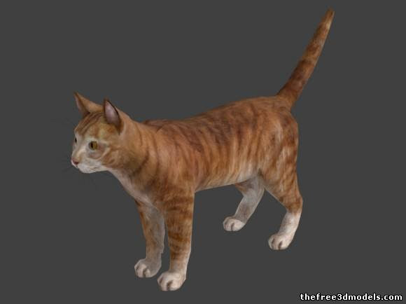  Cat  3D  Models  Free  3D  Cat  download