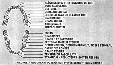 Liens dents et corps