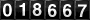 Website Hit Counters
