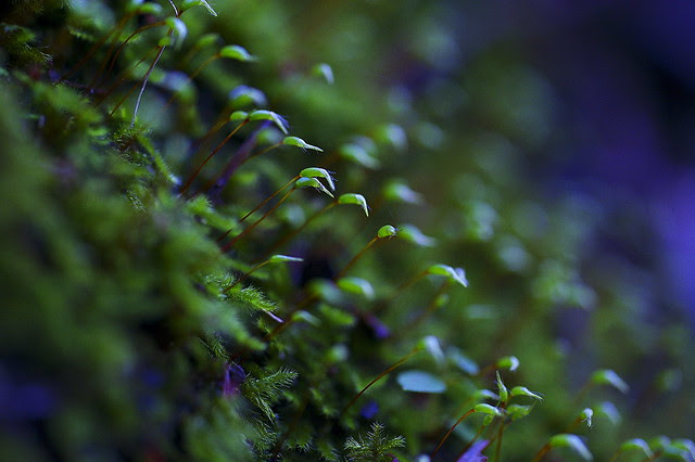_DSC0845