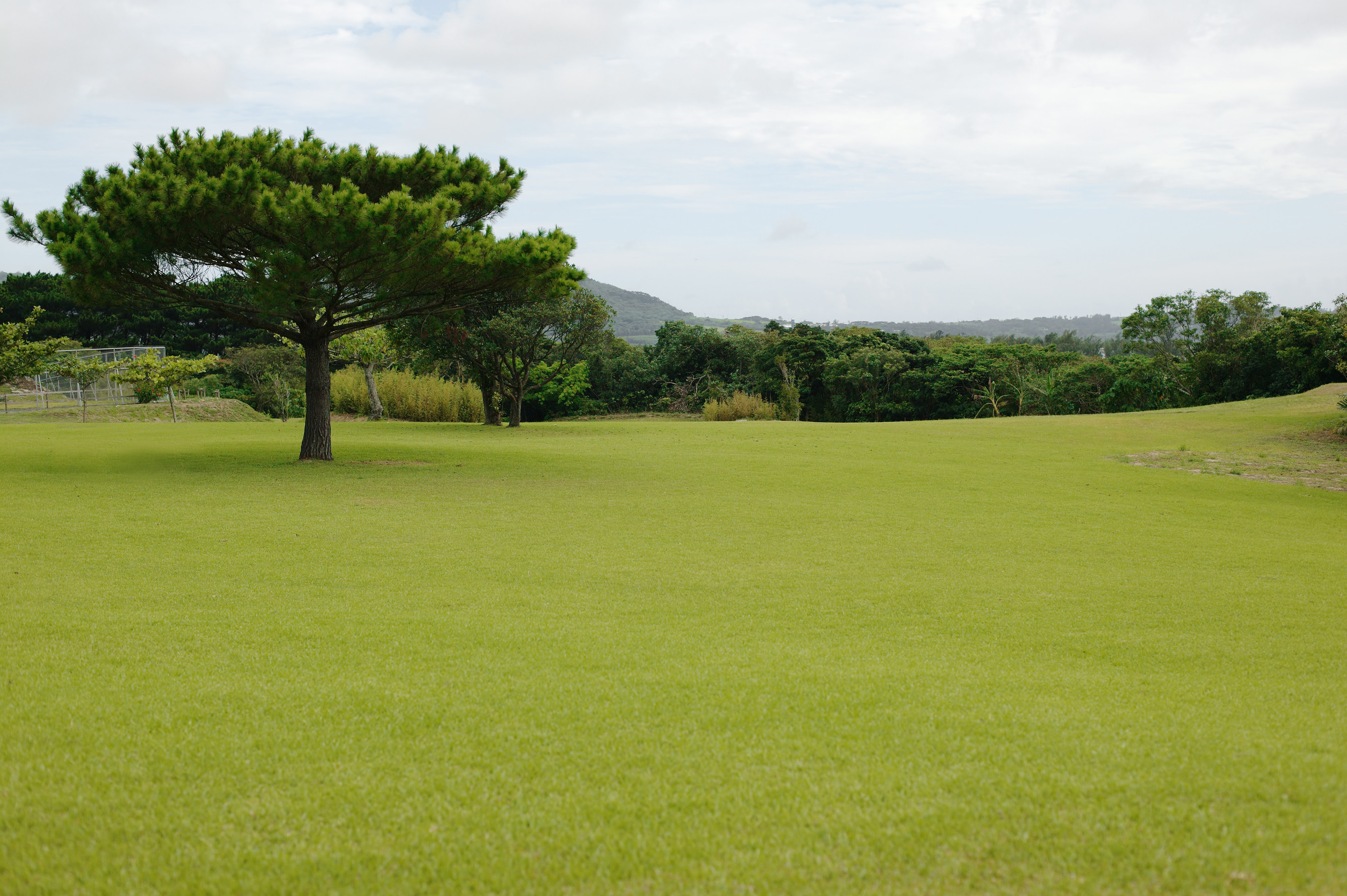 ゆんフリー写真素材集 No 2172 芝生広場 日本 沖縄