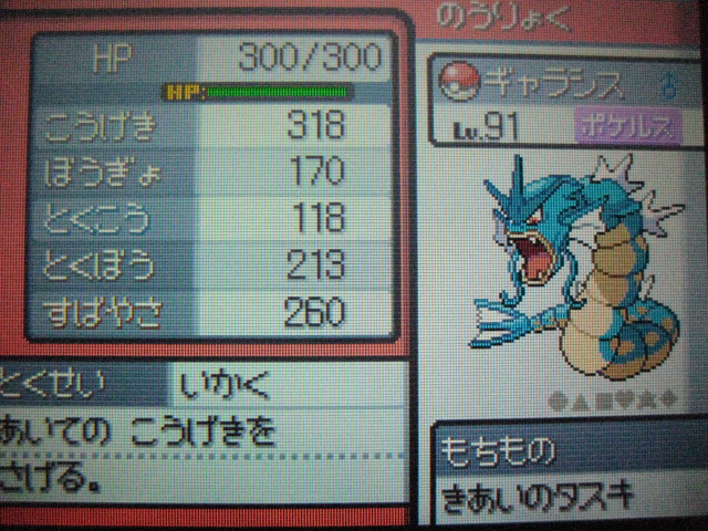 ギャラドス育成編 ポケモン育成レポ Part002 アキバの王に俺はなる