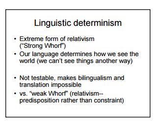 What Is Linguistic Relativity