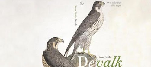 De Valk - Kester Freriks, ontwerp van Anneke Germers