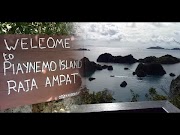 Hangat Jelajah Pesona Raja Ampat Ramai Didatangi Wisatawan Lokal Hingga Mancanegara, terpanas!