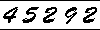 website counter