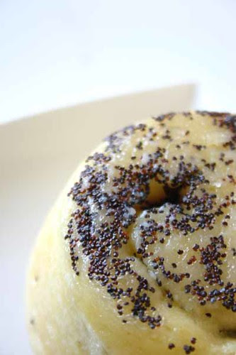 Orange and Poppy Seed Bun