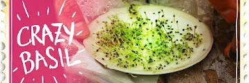 Sprouting Basil Seeds Download Audio Mp3 and Mp4