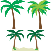Konsep Penting Cartoon Palm Tree PNG