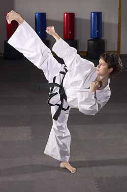 Tae Kwon Do Kicking Techniques Taekwondo Kicks Taekwondo Side Kick Tae Kwon Do Techniques Roundhouse Kick