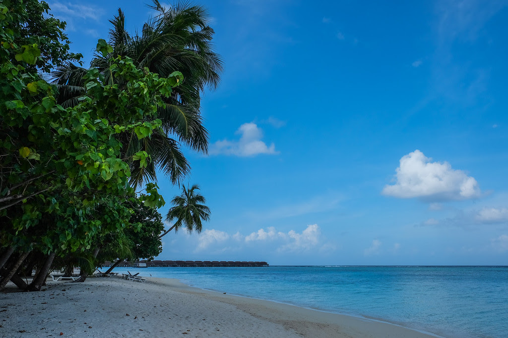Maldives Beaches 