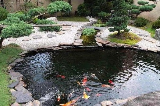 Inspirasi Kolam Ikan Kecil Depan Rumah Infoakuakultur Com