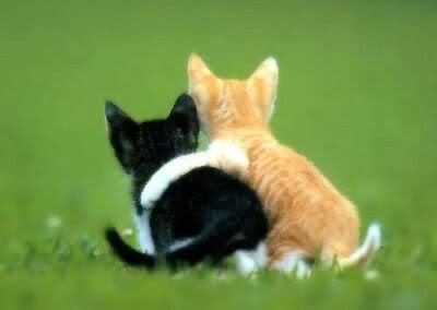 friendship Pictures, Images and Photos