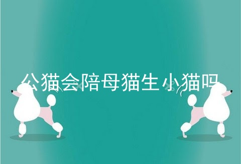 公猫会陪母猫生小猫吗_母猫生小猫公猫要隔离吗_公猫会照顾小猫吗_宠伴网