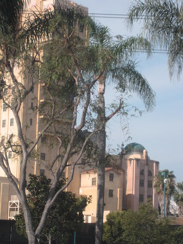 CHA Day 4: Leaving Anaheim! 9