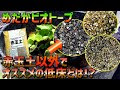 【人気ダウンロード！】 ビオトープ 赤玉土 量 328494-ビオトープ 赤玉土 量