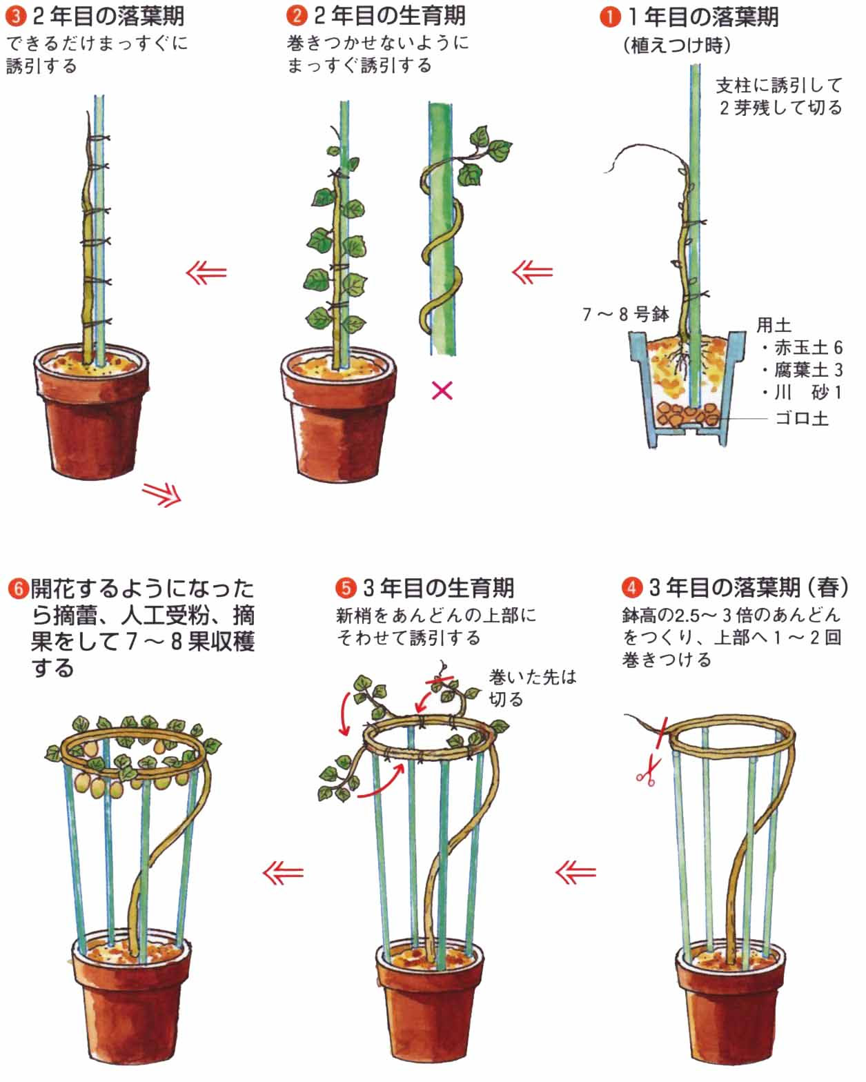 ちびこねっと