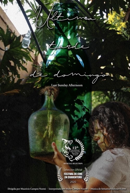 Assistir Última tarde de domingo Filme 2020 Completo Dublado Online
Portuguese 1080p