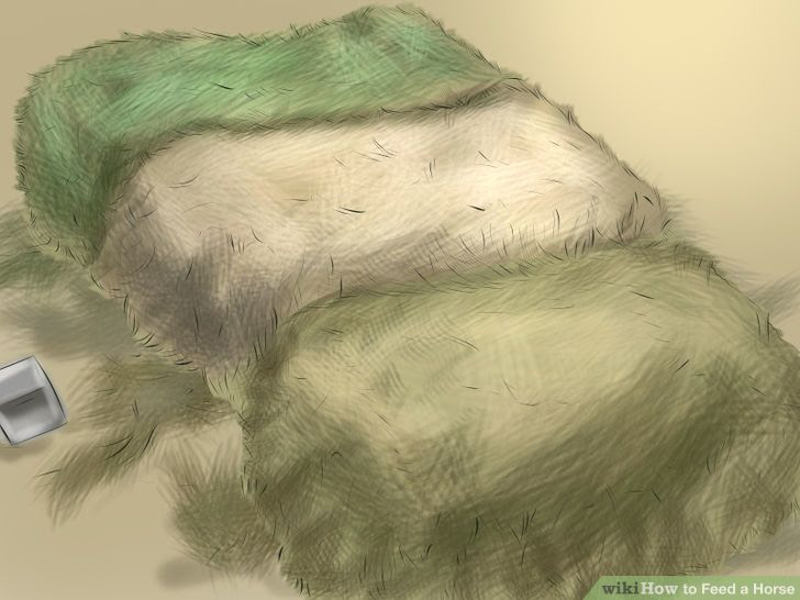 Feed a Horse Step 10 Version 2.jpg