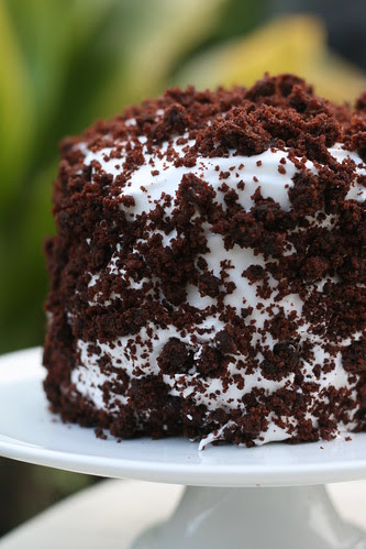 Devils Food White Out Cake (Dorie Greenspan)