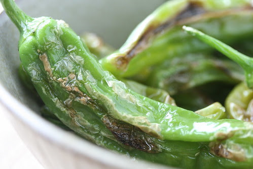 Shishito Peppers 