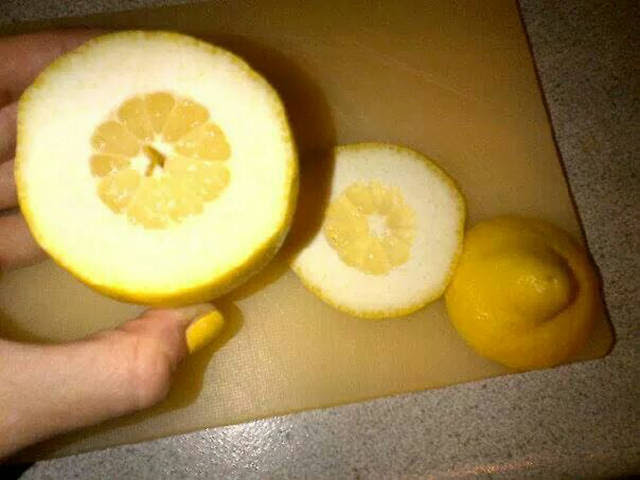 صور أشياء مستفزة