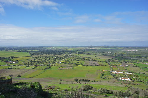 DSC05477