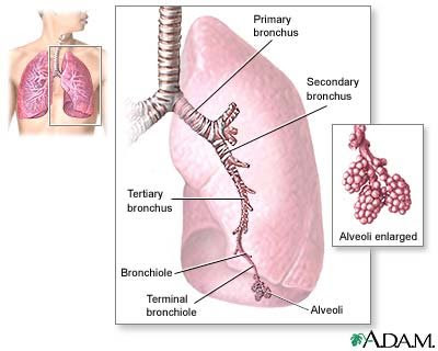 cystic fibrosis symptoms