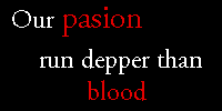 Entra a Vampire Academy Peru