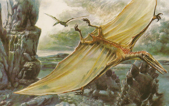 OLIVIER_1981_Pterodactylus_Stegosaurus