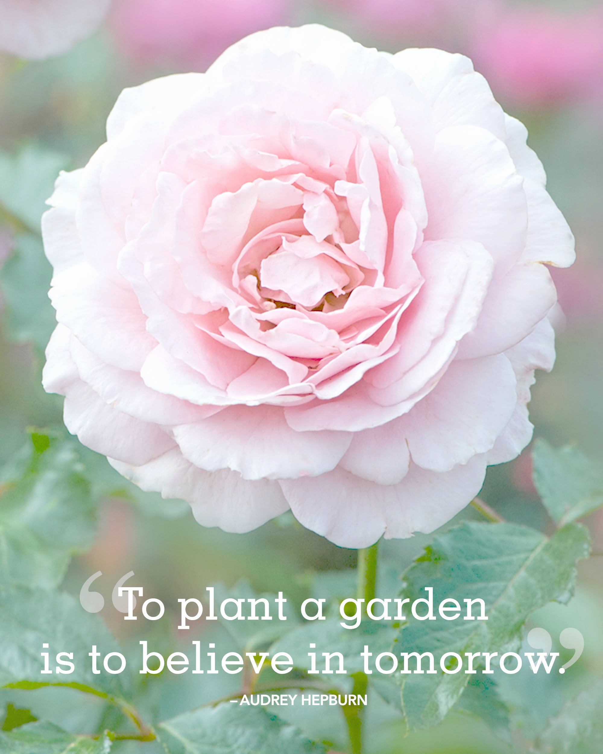 cl summer quotes hepburn