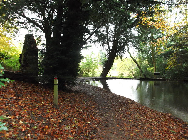 Pen y Fan and Pole Bank walk 281