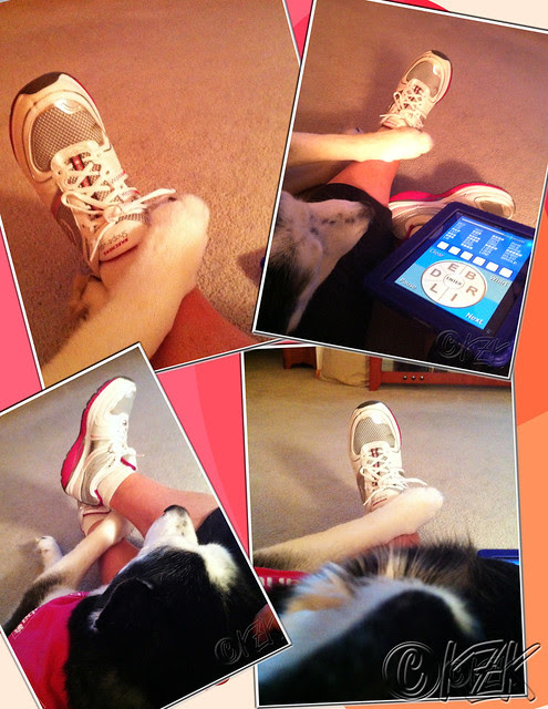 CollageDaveSnuggleApr11