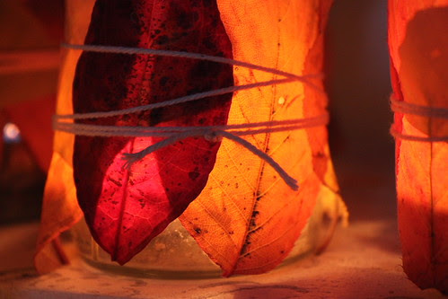 Herbstblätter-Licht