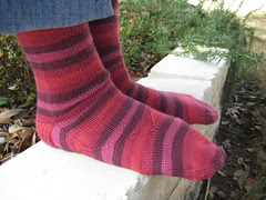 Cochineal Arch Shaped Socks