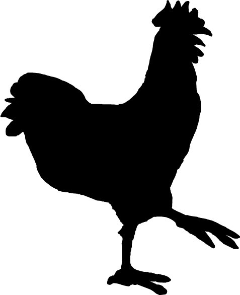 鶏 ニワトリ イラスト 無料 ｇｉｆ