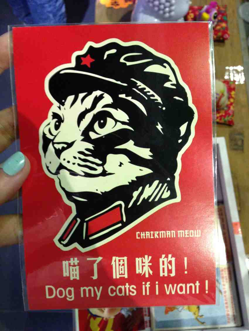 Chairman Meow Says: Dog my cats if I want!