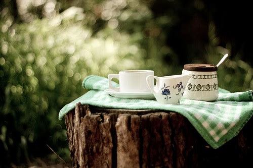 the morning
